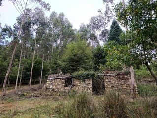 Bauernhof in Camino j. casa pravia 59