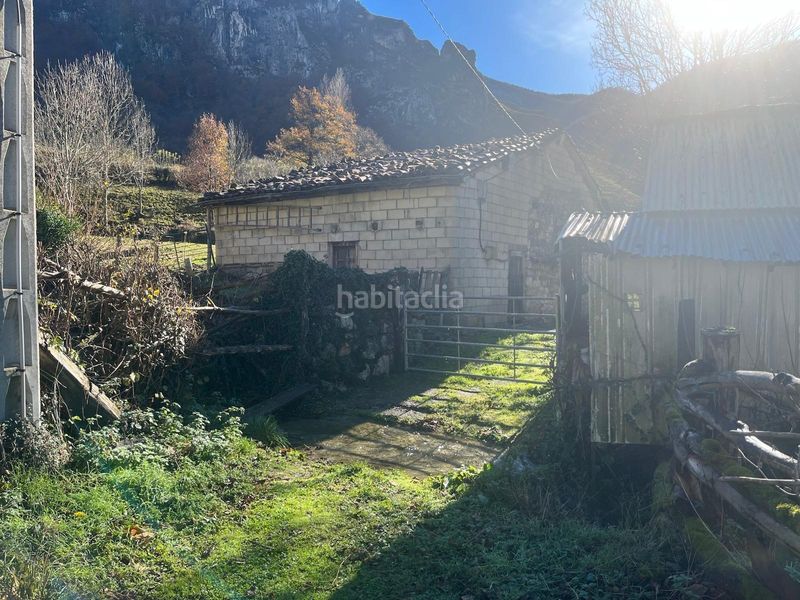 Foto 44ce5635-681f-4e7c-a2a1-473389e6221c. Finca rústica a el pino 68 a Aller