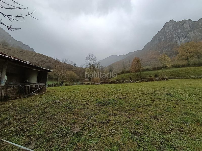 Foto cab09246-071f-4823-bf78-3e0f9d9d67a9. Finca rústica a el pino 68 a Aller