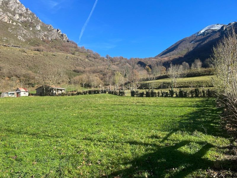 Foto e5bbb4c4-b7fc-4492-a1df-ed7876048113. Finca rústica a el pino 68 a Aller