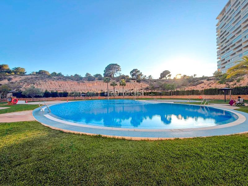 Foto ddb6c0ee-2b30-4af5-9694-39a17f3741e8. Pis amb piscina a Playa Poniente Benidorm