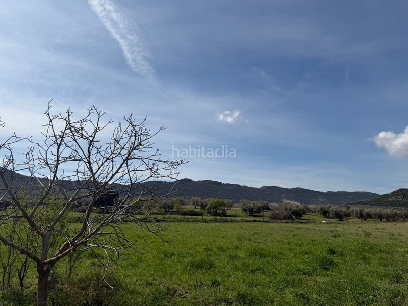 Foto 017dffe6-44a6-4cad-b504-bc031864d7c2. Finca rústica a Malagón