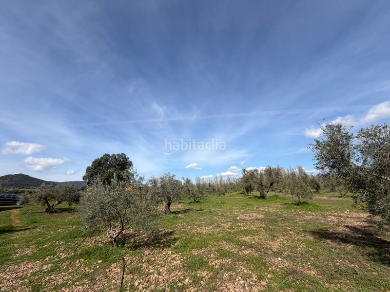 Foto a97d7e78-5dbe-41d2-aaf2-c3219b88da35. Finca rústica a Malagón