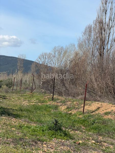 Foto bf013692-aa65-4ec9-958e-0c274ff4a4a1. Finca rústica a Malagón