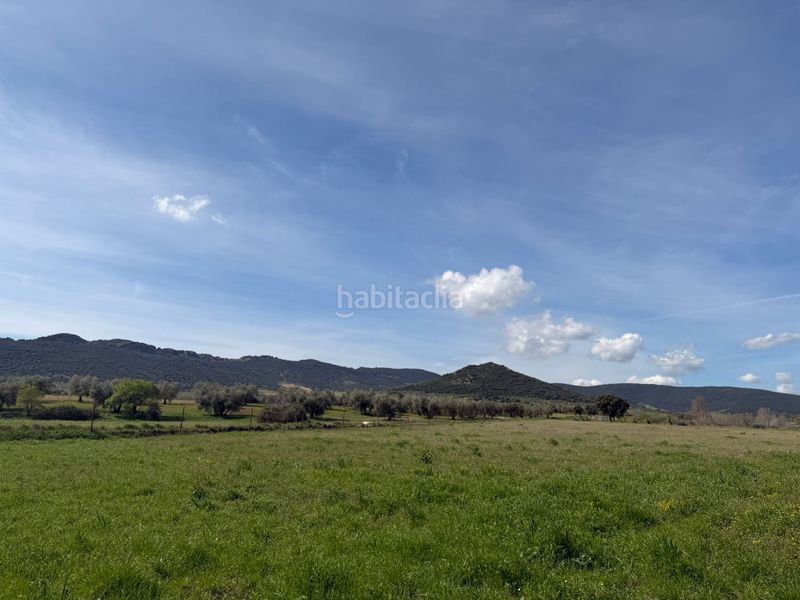 Foto eb69181b-f8bd-44ec-99e3-88f66c3b705b. Finca rústica a Malagón