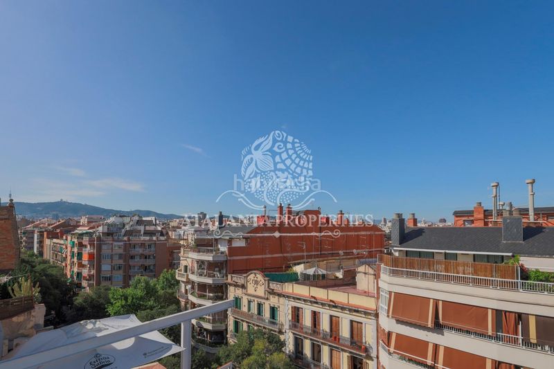 Foto a28d09d3-e311-4d5d-a193-70239864971f. Àtic a Sant Antoni Barcelona