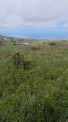 Finca r�stica  Camino camino morra del estanque. Terreno r�stico de 808 m2 en arafo, tenerife  excelente acceso y