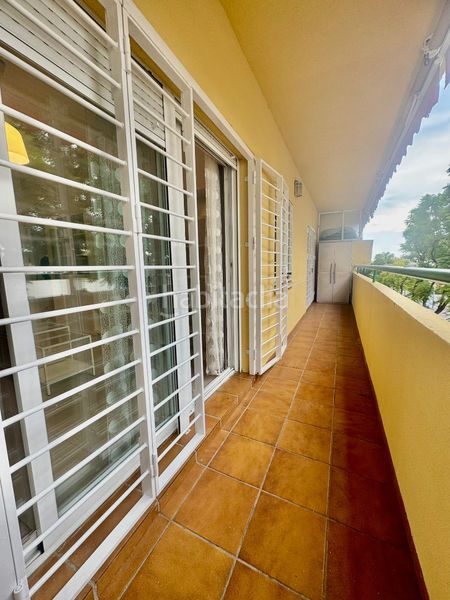 Foto 5562fdd9-3054-49e6-b423-cf91ac5be814. Pis a calle jacinto 20b a Los Pacos Fuengirola