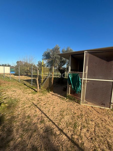 Foto 58c18d74-c983-487e-8198-b8b68274a2bc. Casa a Arahal