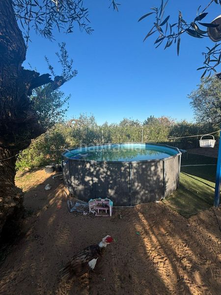 Foto 61e0a7ee-7988-46ee-b260-3adc487c3316. Casa a Arahal