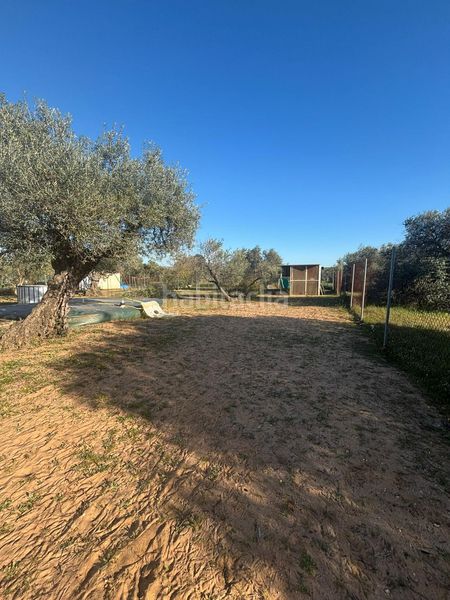 Foto a8ba11e3-be1e-4055-9603-de5ee9b582ca. Casa a Arahal