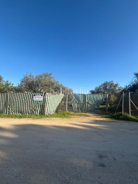 Foto aeb85e8e-1ac6-4f7b-adcf-87fbd811dc77. Casa a Arahal