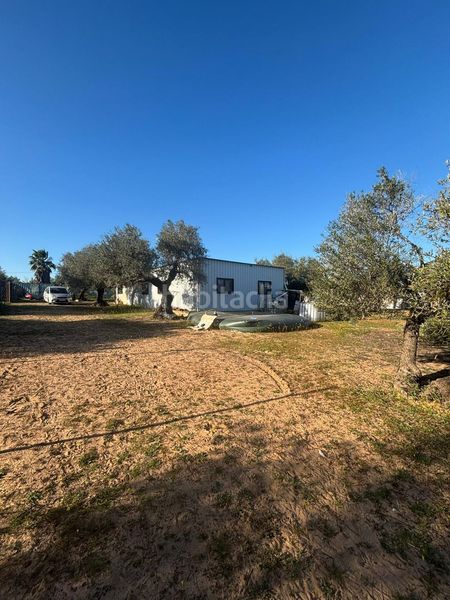 Foto c4ecfdc7-5f06-4ec6-b4d4-375999d69b4d. Casa a Arahal