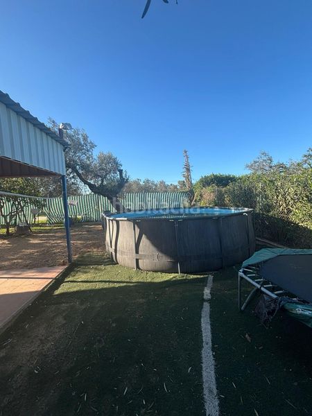 Foto caf98615-f10d-49bf-a825-2357a8fc1afb. Casa a Arahal