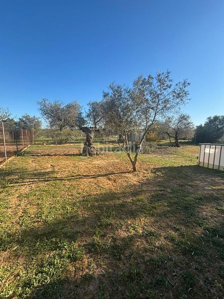 Foto f561ff38-77da-4989-8699-38ecddc8597b. Casa a Arahal