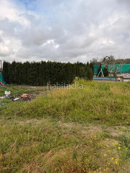 Foto 084598a5-9734-48b8-8cf8-7103d502af18. Casa a Arahal