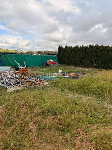 Foto a74bbd43-09fd-4ef1-a1ec-3240d50ad3d8. Casa a Arahal