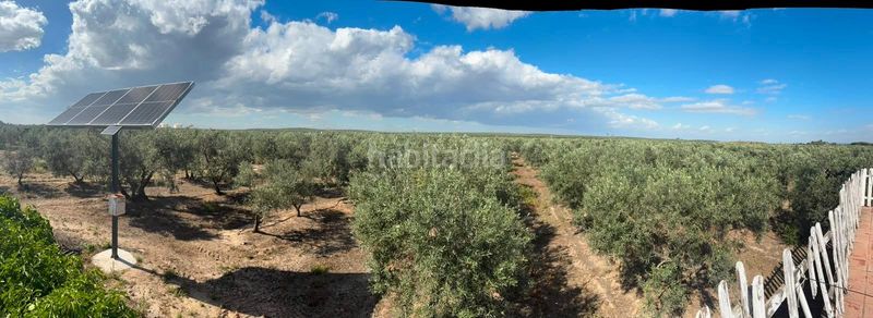 Foto 6719ff20-3b91-4c66-a58e-c0cf10960cfb. Masia a Arahal