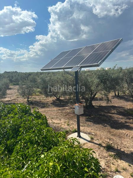Foto ae982765-dc82-43ff-9364-d6052b0c2871. Masia a Arahal