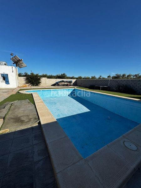 Foto c748487d-515f-48b4-9b49-e01f08a2d7c9. Xalet amb piscina a Arahal