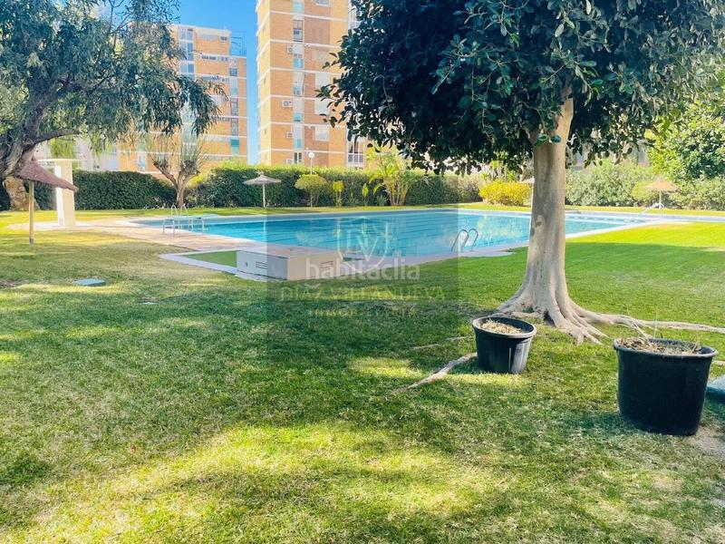 Foto cbfdf8ea-c19e-4ef9-ae99-522c7b90c2aa. Pis a Albufereta Alicante