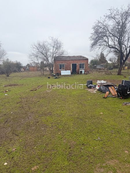 Foto 0a48ebc0-c978-4733-adb1-42c122557f23. Finca rústica a Miguelturra