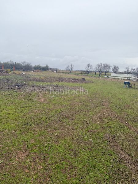 Foto ccbba576-4d90-4937-9c41-3adc0feeb00b. Finca rústica a Miguelturra