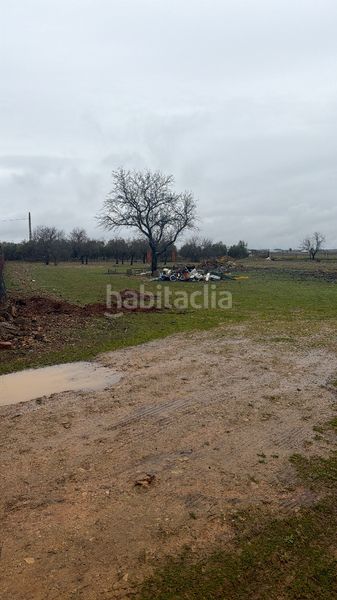 Foto d1e913a9-d769-4e9d-be7c-46a2897e3f09. Finca rústica a Miguelturra