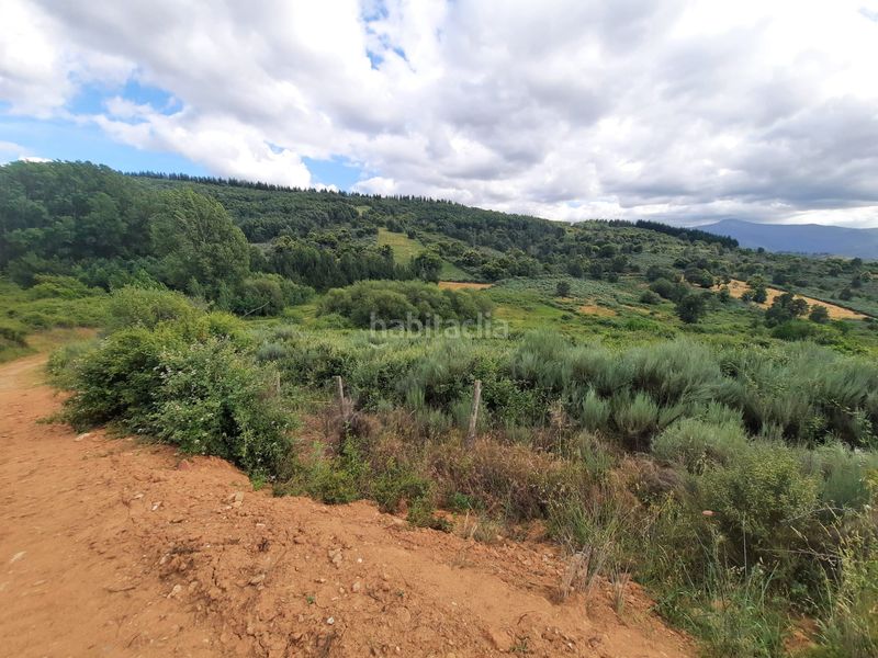 Foto 6d915e94-f5bf-4c0e-b147-eadf47d36bd5. Finca rústica a Molinaseca