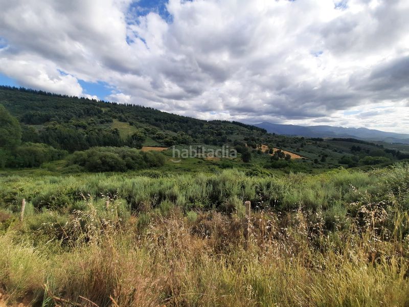 Foto 7adb2bbe-ff26-4258-88cd-ceb73c0921f3. Finca rústica a Molinaseca