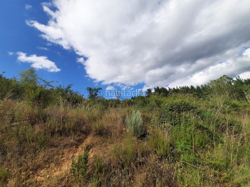 Foto a8a5393b-b860-482d-99d5-a59adf0701a1. Finca rústica a Molinaseca