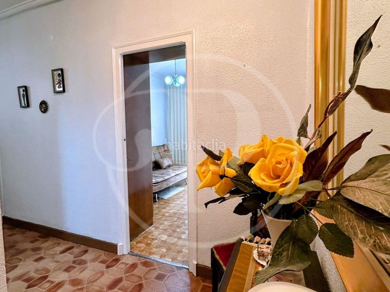 Foto 0010f7dd-1879-47e5-a02b-64f51557880a. Pis a Arrancapins Valencia