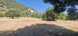 Bauernhof in Coín. Venta de finca en coín
