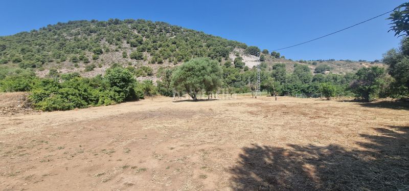 Foto a1a04989-6b85-4947-a6d6-0e777042fbce. Masia a Coín