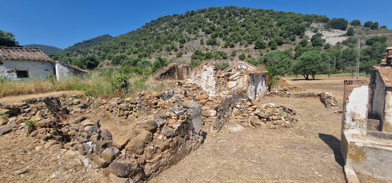 Foto eedbdd8f-ceac-4b4c-9389-5f6b1a093cd5. Masia a Coín