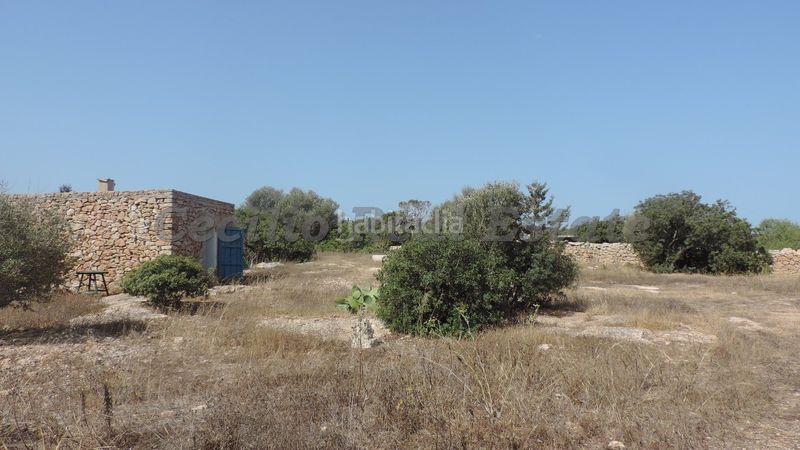 Foto 5cebf136-823b-45c1-beab-43625e5c228b. Casa adossada amb xemeneia calefacció aparcament a Formentera