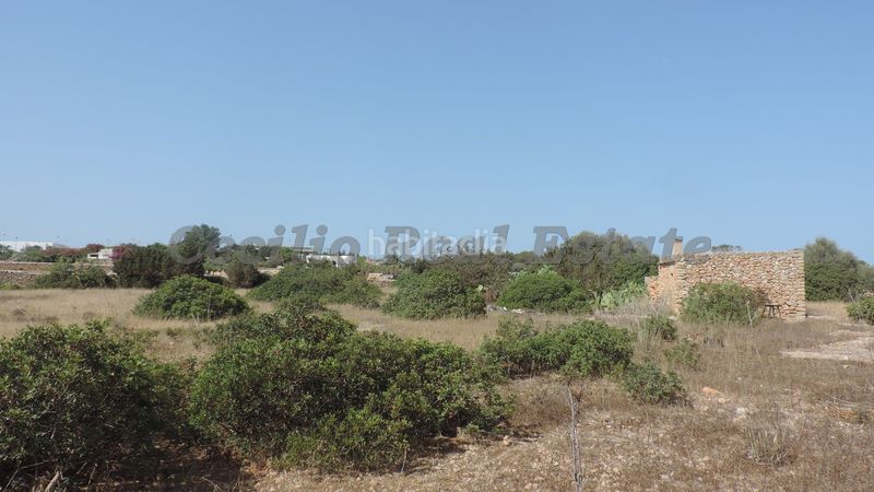 Foto cea47c37-ed6b-46a4-bbd6-b6cede0ff2b6. Casa adossada amb xemeneia calefacció aparcament a Formentera