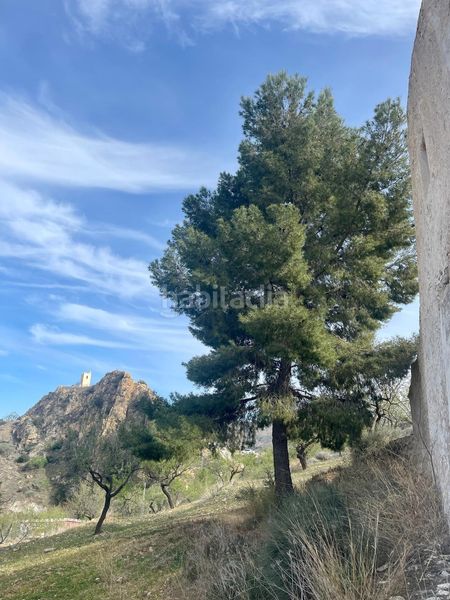 Foto 63051db7-f0f2-4c5a-b625-10d12592585f. Masia a Lubrín