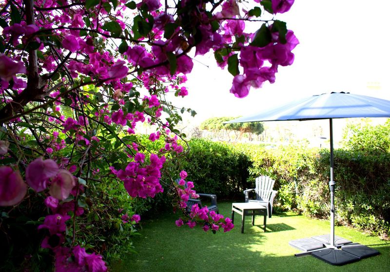 Foto d1102e30-3fb7-465a-a447-3bdd8a9add3a. Apartament amb aparcament piscina a El Playazo Vera