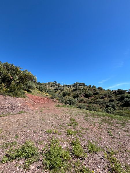 Foto 07feef3f-cb60-4d90-a584-68fda477c6d8. Finca rústica a Almogía