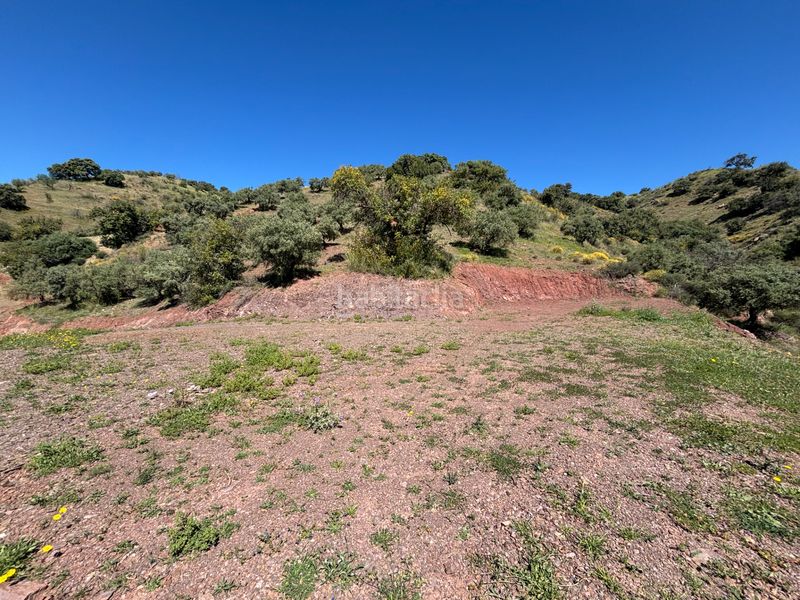 Foto 47a6f9ec-6ca2-42e5-98a3-d076317ab6d1. Finca rústica a Almogía