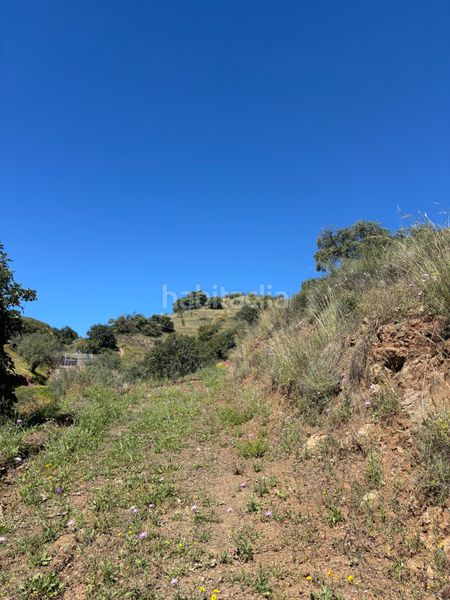 Foto 4f1bcc7b-70fb-4e4a-a5c3-5d8af2ac9c73. Finca rústica a Almogía