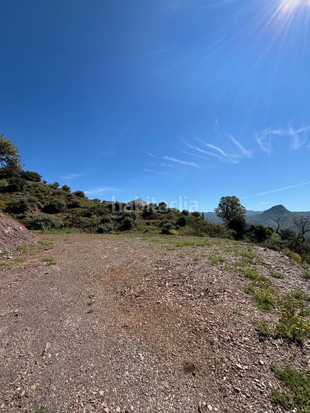 Foto 8721d25b-ab84-4c48-b3bf-022ed767f0a9. Finca rústica a Almogía