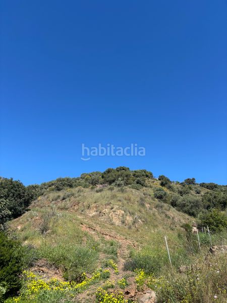 Foto cc604c17-4eb2-4b39-a4a4-93cdc0790a04. Finca rústica a Almogía