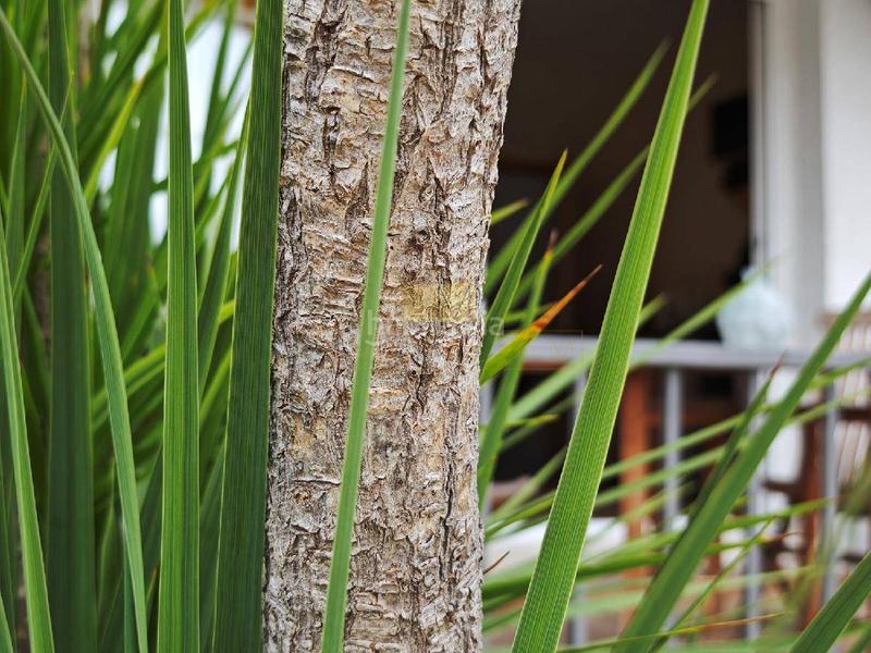 Foto 47fe6040-f929-4e4f-a7c4-19f7c371f485. Casa reformada y con ubicación perfecta en Calafell residencial Calafell