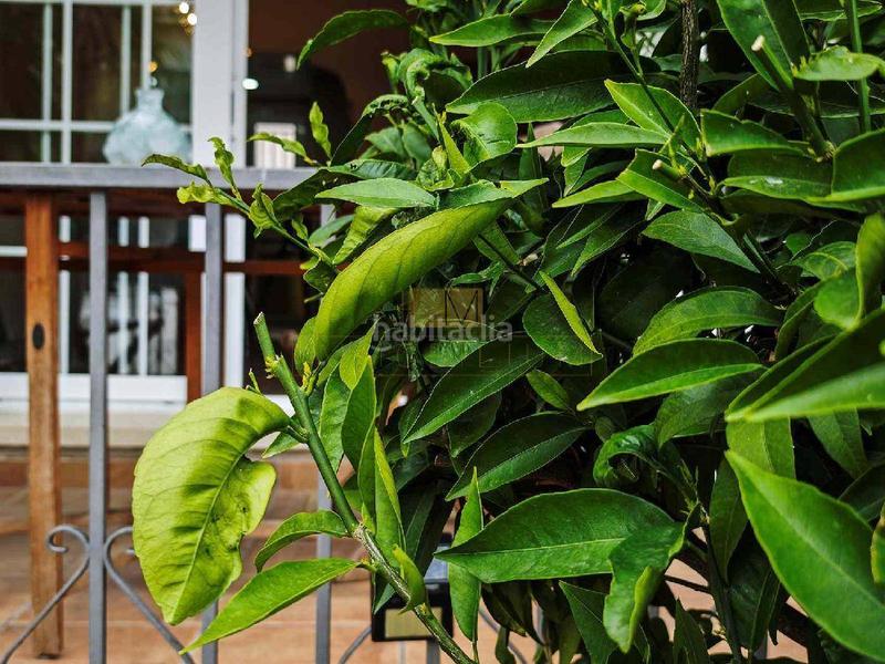 Foto 5cfa125c-3033-4abd-83b6-f8fc421ad9ca. Casa reformada y con ubicación perfecta en Calafell residencial Calafell