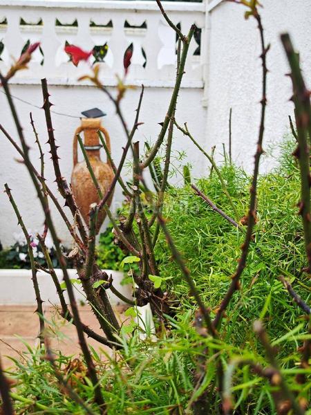 Foto b0d650df-f412-4af6-88dd-aee291576577. Casa reformada y con ubicación perfecta en Calafell residencial Calafell