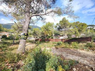 Wohngrundstück in Canyelles. Buen terreno.