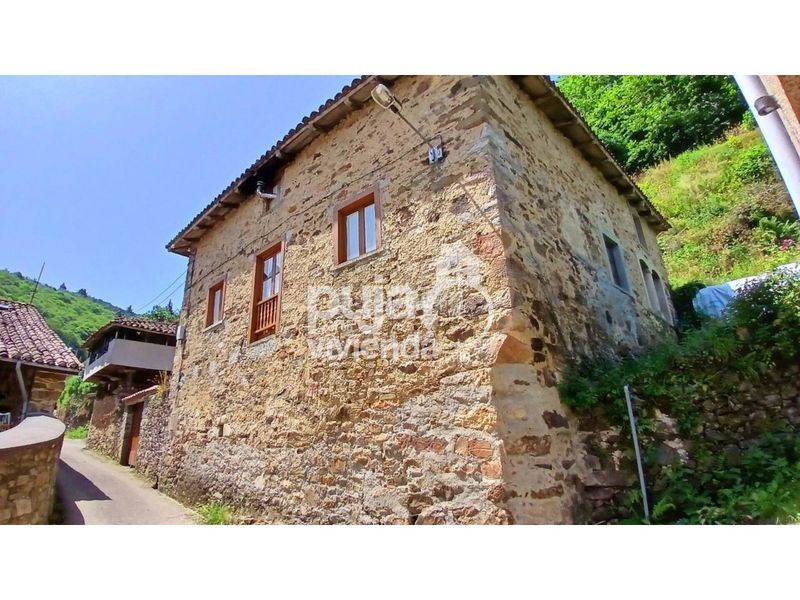 Foto 884f51df-77b1-48e9-89cd-11c531f88df3. Casa amb aparcament a Tineo