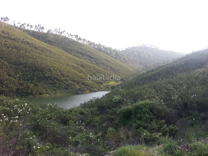 Foto 515c1613-74d8-4e0d-ba27-d075623b723f. Chalet in calle francisco delgado alonso 37 in Madroño (El)
